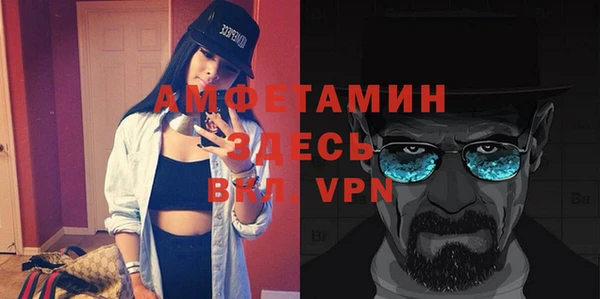 мдпв Михайлов