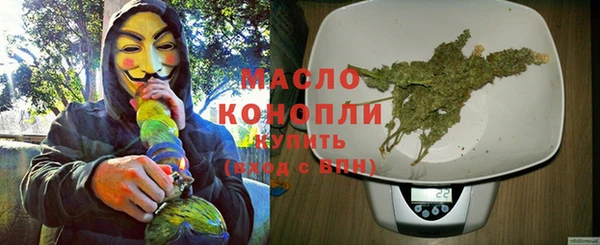 мдпв Михайлов
