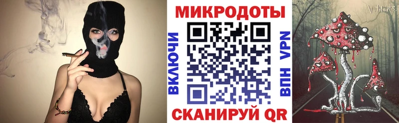 Галлюциногенные грибы Psilocybine cubensis  где можно купить   Липецк 