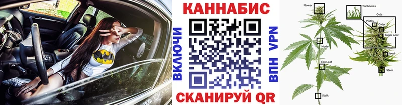 что такое   Липецк  Каннабис OG Kush 